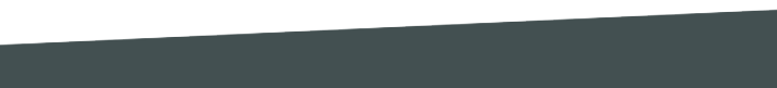 neta_600x860_header_kav