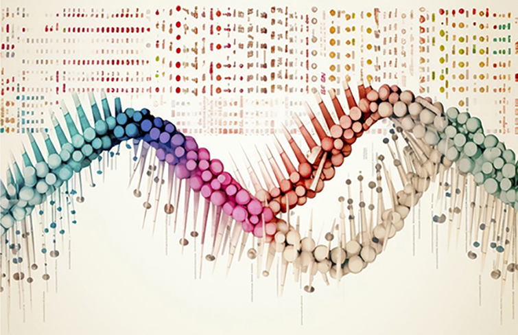 תמונה תקשורת מדע בעידן הדיגיטלי: ויקיפדיה כארכיון חי של ידע מדעי