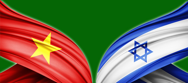 V-flags1