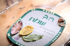 bracha-245
