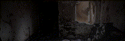 Banner1
