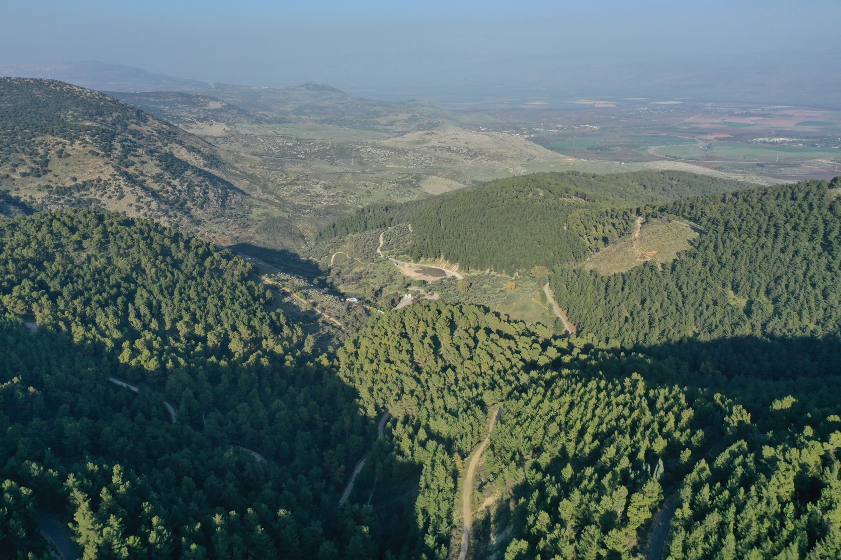 Biriya-Forest-TSR-Aerial-Photography-Ltd