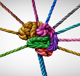 braintour