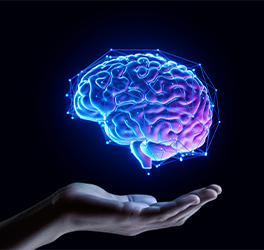 humanbrain