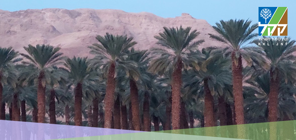 HEADERSEP26
